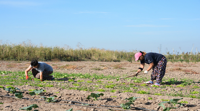 “Aliağa Toprak ve Tarım Atlası” İçin Çalışmalar Başladı.