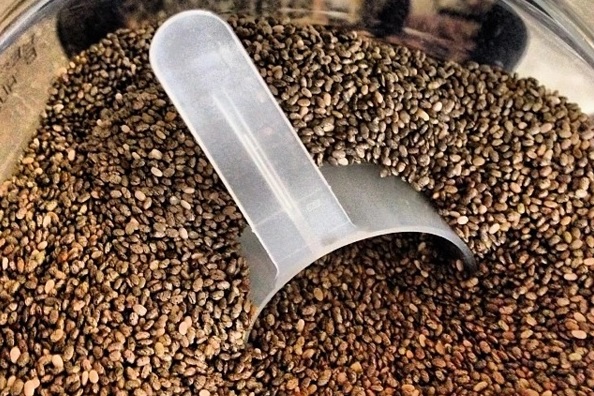 Chia Tohumu Faydaları Nelerdir? Tüm Faydaları Burada!