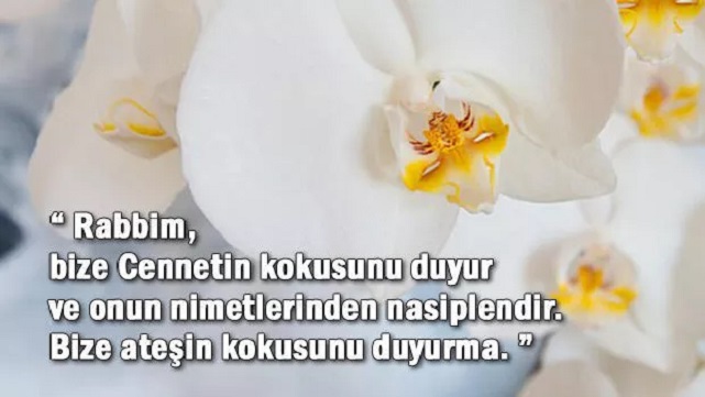 En güzel ve anlamlı cuma mesajları.22 Nisan 2022 resimli cuma mesajları