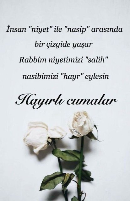 Cuma Mesajları resimli 13 Aralık 2024. En güzel, anlamlı, yeni, kısa uzun ve resimli hayırlı cumalar mesajları