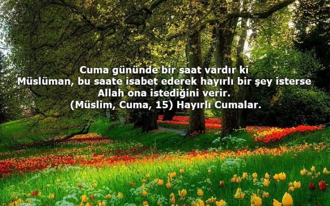 Cuma mesajları! Anlamlı, dualı, resimli, kısa, en güzel cuma mesajları