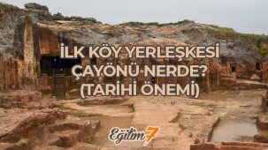 Birinci köy yerleşimi Çayönü nerede? Tarihi Kıymeti