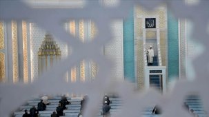 Hayvanlara merhamet: Dini ve insani sorumluluğumuz