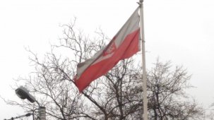 Polonya'da ağır tartışmalara karşın kürtaj yasağı yürürlüğe girecek