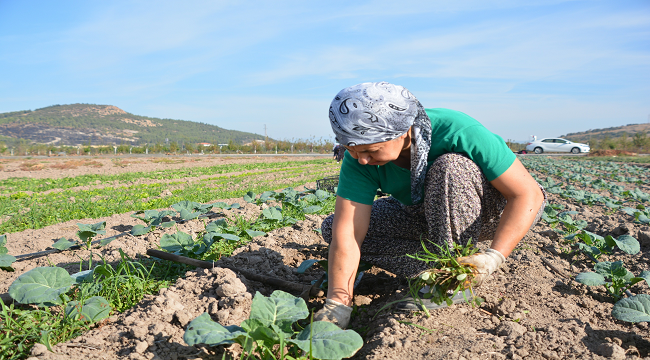“Aliağa Toprak ve Tarım Atlası” İçin Çalışmalar Başladı.