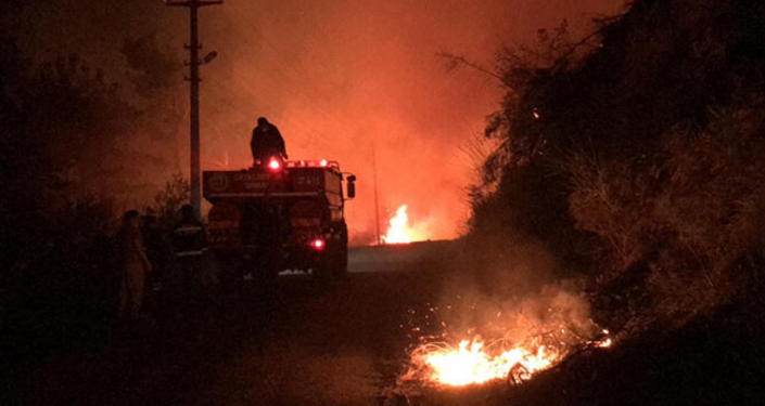 Kastamonu'da orman yangını: Mahalleye sıçradı