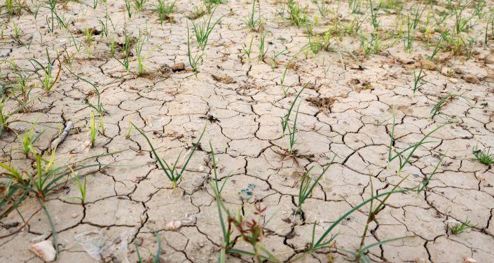 Meteoroloji&#039;nin rengi değişti: Yağışlar kuraklık rüzgarını tersine çevirdi