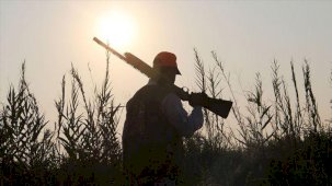 Bartın'da biri hamile 3 karacayı vuran 5 bireye 42 bin lira para cezası