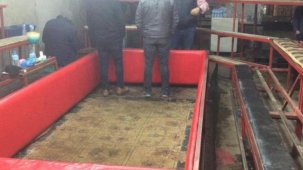 Horoz dövüşüne jandarma baskını: Horozlara özel numaralı dolap, ring ve tribün yapmışlar