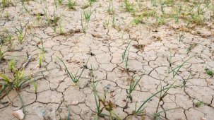 Meteoroloji'nin rengi değişti: Yağışlar kuraklık rüzgarını tersine çevirdi