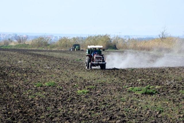 Ceyhan Belediyesi mısır üretimine başladı