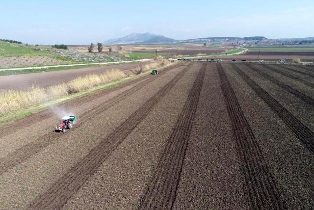 Ceyhan Belediyesi mısır üretimine başladı