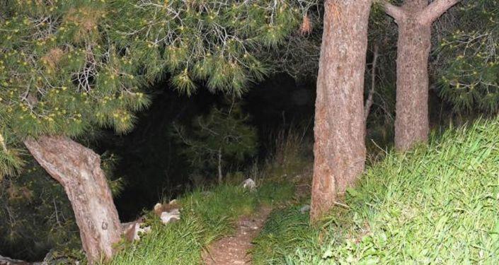 Ormanlık Alanda Bir Kadın Cesedine Ait Olduğu Tespit Edilen  Kemik Parçaları Bulundu