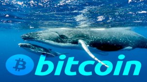 Bitcoin Balinaları Milyar Dolarları Taşıdı – İşte Ayrıntılar
