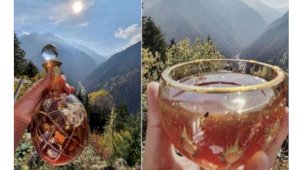 Türkiye'de mağaralarda toplanan kantaron balı, Guinness Rekorlar Kitabı'na girdi