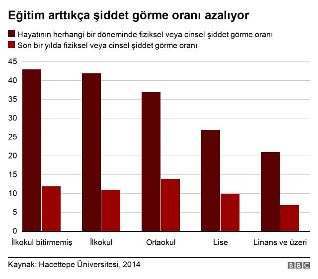 TBMM'ye sunulan Hacettepe araştırması: 10 bayandan 4'ü şiddete maruz kalıyor