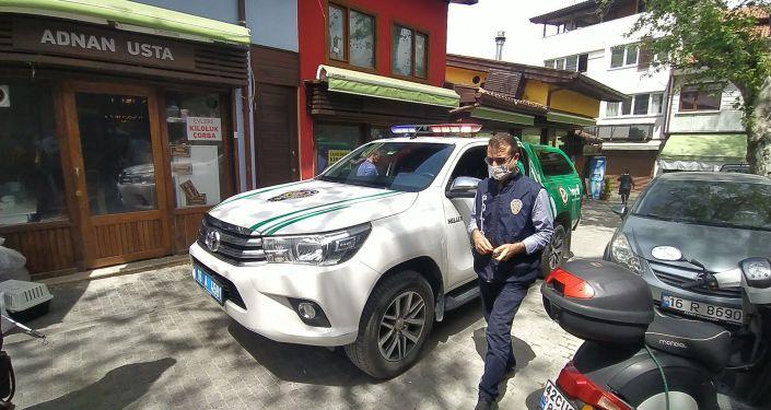 Kediler pandemi sebebiyle kapalı olan lokantada mahsur kaldı: Biri öldü, yeni doğan iki yavru kurtarıldı