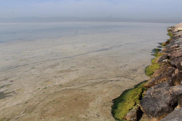 Marmara'yı deniz salyası kapladı! Balıkçılar denize açılamıyor