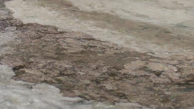 Marmara'yı deniz salyası kapladı! Balıkçılar denize açılamıyor