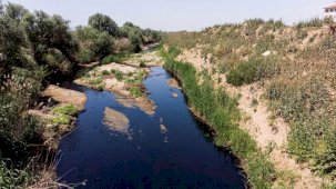 İşletme atıkları, Alaşehir Çayı’nı siyaha boyadı