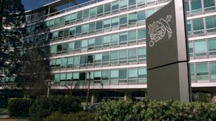 Nestle'nin skandal bilgileri sızdı! Ürünlerinin yüzde 63'ü insan sağlığını tehdit ediyor