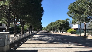 Yeni Normale Dönüş İçin Planlama Yapıldı. Bayram Sonrası Kademeli Geçiş Öngörülüyor