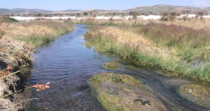 Burdur Çevre ve Şehircilik İl Müdürü Alacatlı: Salda Gölü'nde herhangi bir kirlilik söz konusu değildir