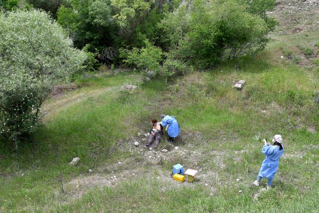 Çorum'da yaşayan yaşlı çift tarlada aşılandı