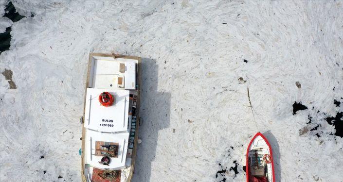 ODTÜ&#039;den Marmara&#039;da &#039;müsilaj&#039; incelemesi: Oksijeni 2.5-3 saatte tükettiği bilimsel olarak kanıtlandı