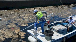 Balıkesir'de 2 saatte deniz ile sahilden 1 tondan fazla çöp toplandı