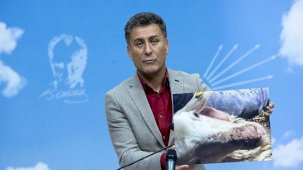 CHP'nin Tarım Politikalarından Sorumlu Başdanışmanı Sarıbal, çiğ sütte yeni düzenlemeye tepki gösterdi