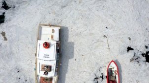 ODTÜ'den Marmara'da 'müsilaj' incelemesi: Oksijeni 2.5-3 saatte tükettiği bilimsel olarak kanıtlandı