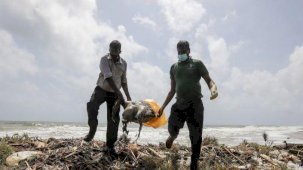 Sri Lanka'da gemi yangınından sonra yaklaşık 100 kaplumbağa, 12 yunus ve bir mavi balina ölüsü kıyıya vurdu