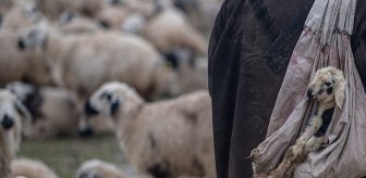 4 Temmuz 2021 Haberleri