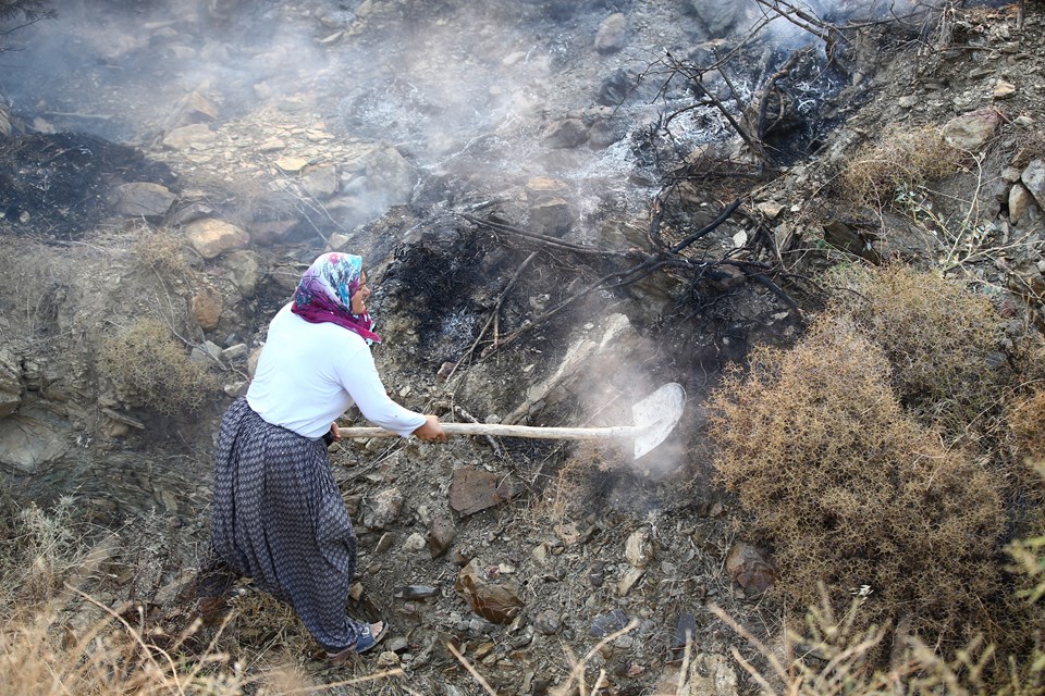 Türkiye'nin her bölgesinde orman yangını