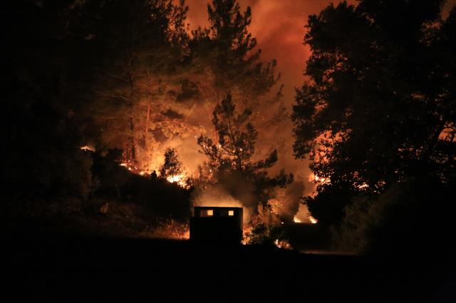 Bakan Pakdemirli'den yangınlarla ilgili dikkat çeken uyarı: Bugün nem yüzde 10'a düşüyor, çok dikkatli olmamız lazım
