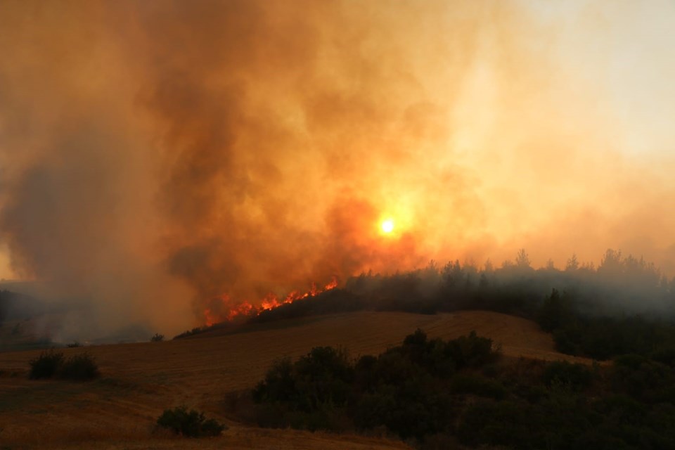 Beş İlimizde Yangınla Mücadele Devam Ederken Manavgat'tan Acı Haber Geldi!