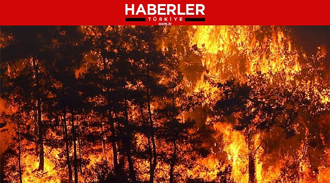 Beş İlimizde Yangınla Mücadele Devam Ederken Manavgat'tan Acı Haber Geldi!