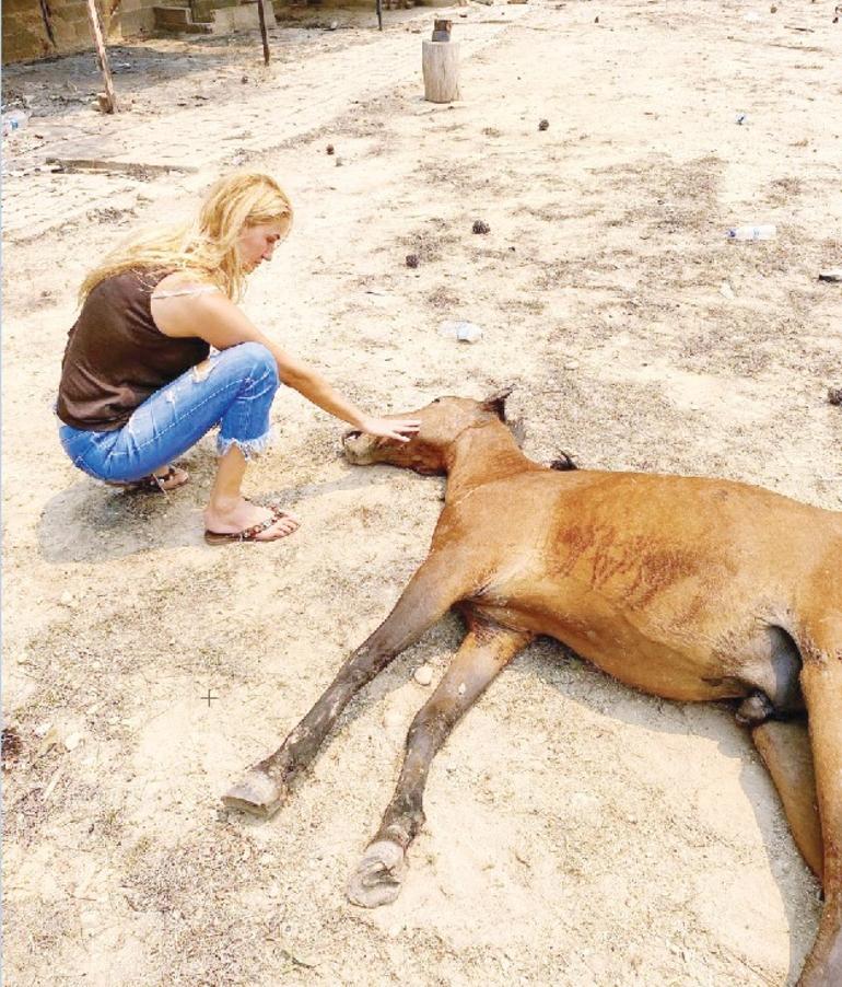 Ciğerlerimiz yanıyor: Ünlü sanatçılardan yangınla ilgili yorumlar