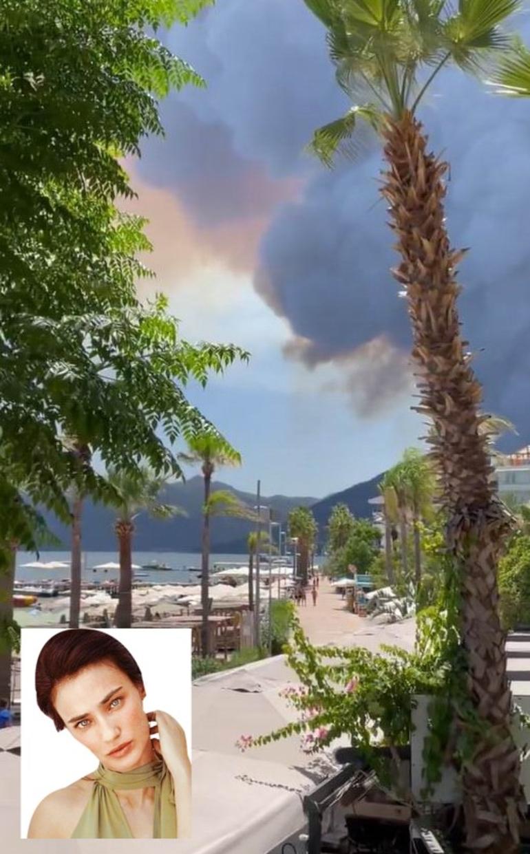 Ciğerlerimiz yanıyor: Ünlü sanatçılardan yangınla ilgili yorumlar