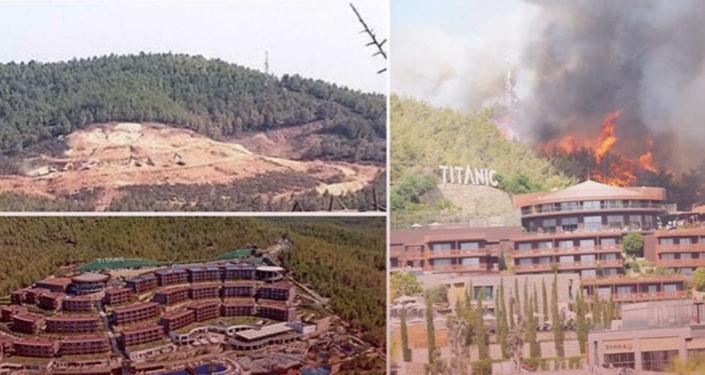 Çıkan yangında yanan ağaçların yerine dikilen otel, yangın nedeniyle tahliye edildi