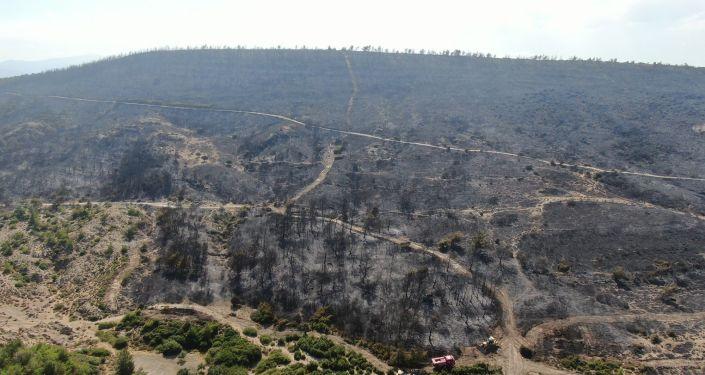 İzmir Foça&#039;daki yangında 30 hektar ormanlık alan zarar gördü