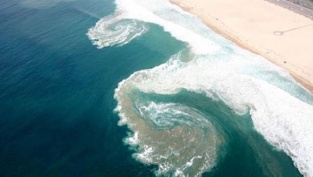 Karadeniz'deki boğulmalar, şampiyon bir yüzünün bile karşı koyamayacağı rip akıntısından kaynaklanıyor
