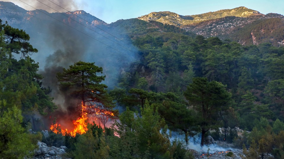 Türkiye 28 Temmuz'dan beri 81 nokta çıkan orman yangınlarıyla uğraş ediyor