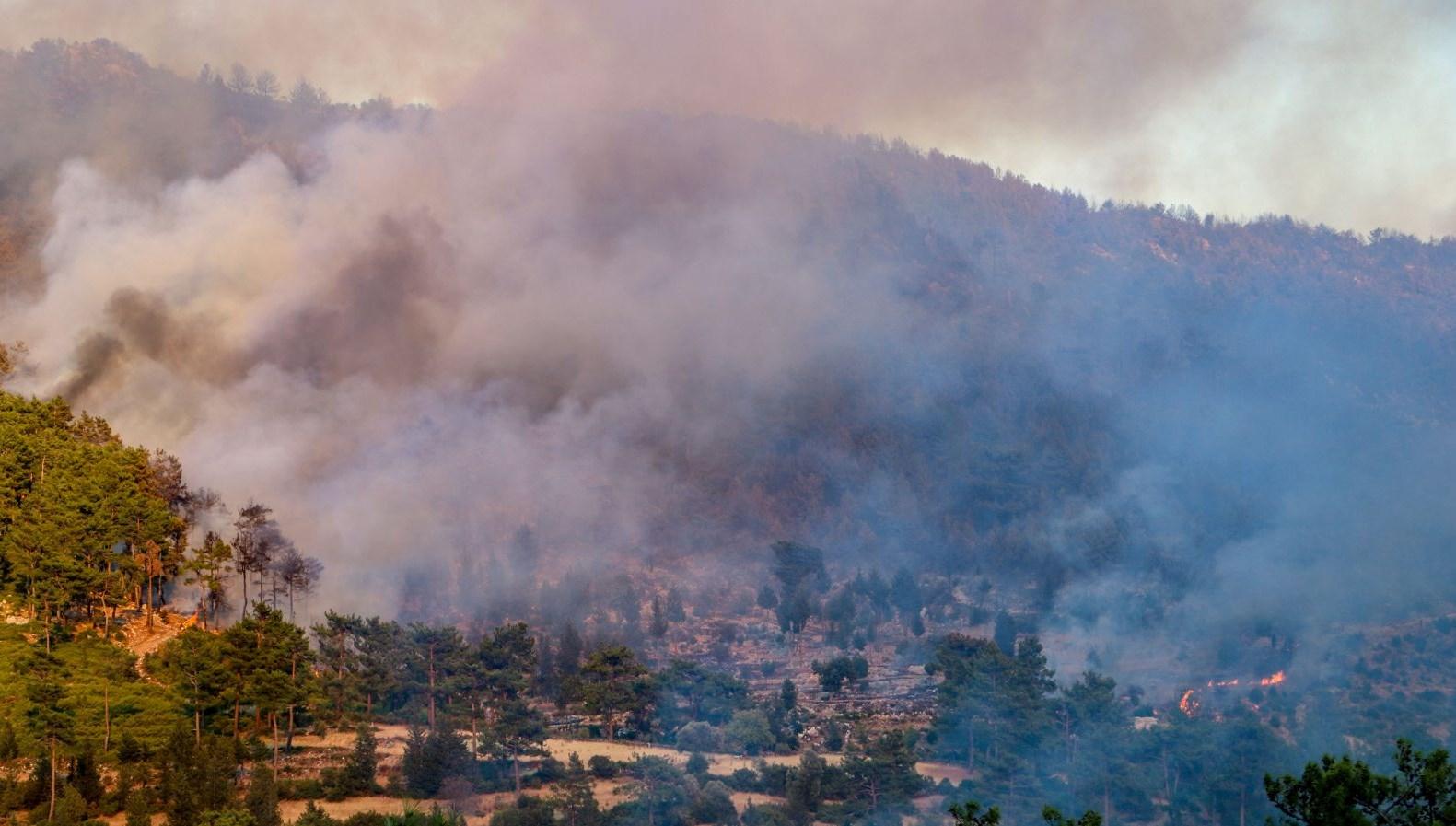Türkiye 28 Temmuz&#039;dan beri 81 nokta çıkan orman yangınlarıyla uğraş ediyor
