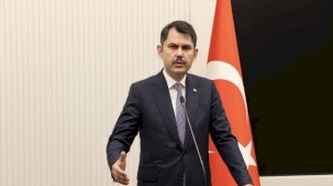 Bakan Kurum: Yavru flamingoların ölümü hepimizi üzdü