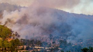 Türkiye 28 Temmuz'dan beri 81 nokta çıkan orman yangınlarıyla uğraş ediyor