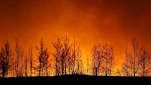 Tarım ve Orman Bakanlığı: Havada ne kullandığınız değil, yere ne kadar su attığınız önemlidir