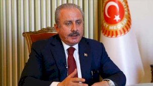 TBMM Başkanı Şentop'tan Hayvanları Koruma Kanunu'na ilişkin açıklama