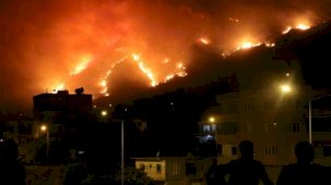 Türkiye'yi küle çeviren orman yangınları neden çıktı?